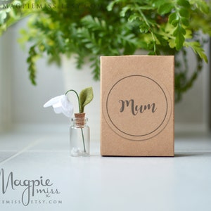 K&ouml;nnte beinhalten: Eine kleine Glasflasche mit einem Korkverschluss enth&auml;lt eine einzelne wei&szlig;e Filzblume mit einem gr&uuml;nen Stiel. Die Flasche steht auf einer wei&szlig;en Oberfl&auml;che neben einer braunen Schachtel, auf der das Wort "Mutter" steht.