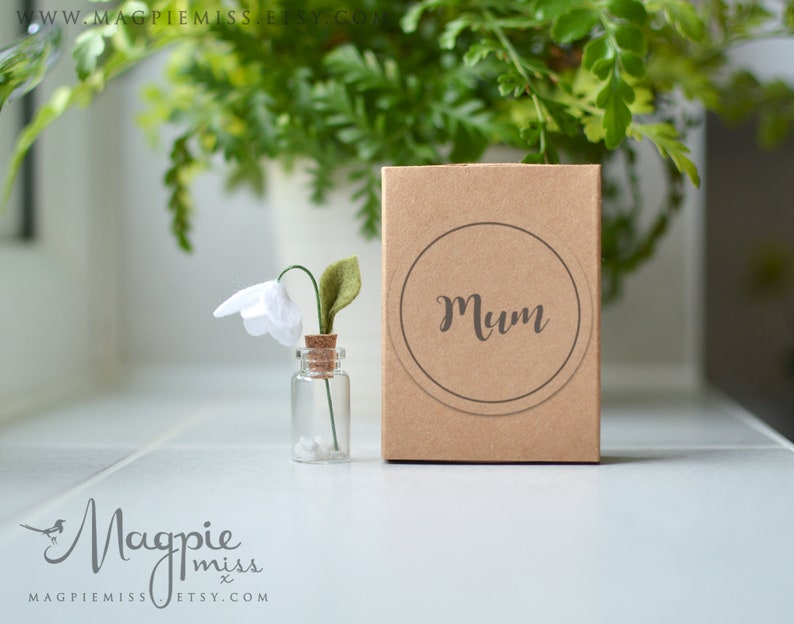 K&ouml;nnte beinhalten: Eine kleine Glasflasche mit einem Korkverschluss enth&auml;lt eine einzelne wei&szlig;e Filzblume mit einem gr&uuml;nen Stiel. Die Flasche steht auf einer wei&szlig;en Oberfl&auml;che neben einer braunen Schachtel, auf der das Wort "Mutter" steht.