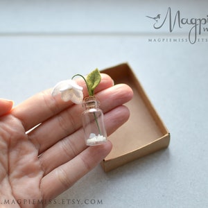 K&ouml;nnte beinhalten: Eine kleine Glasflasche mit Korkverschluss, gef&uuml;llt mit wei&szlig;en Steinen und einer einzelnen wei&szlig;en Blume mit gr&uuml;nen Bl&auml;ttern.