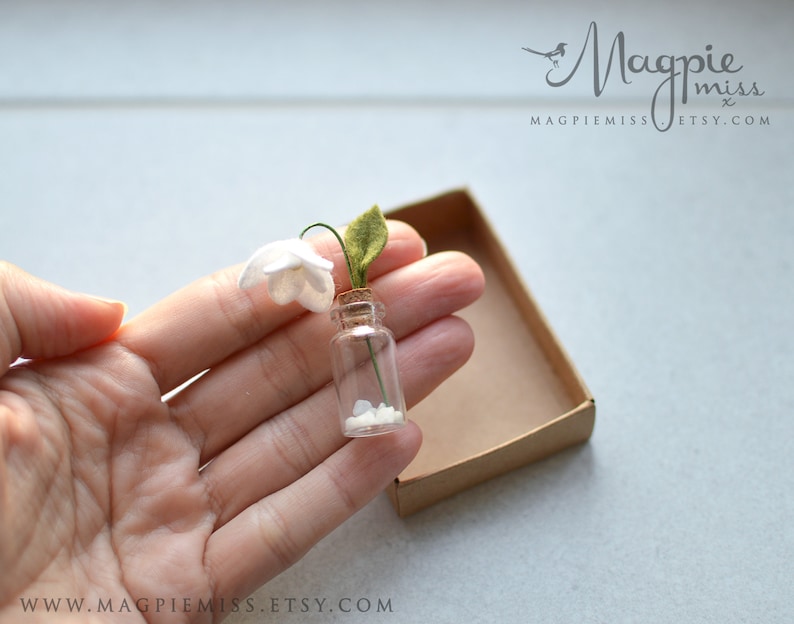 K&ouml;nnte beinhalten: Eine kleine Glasflasche mit Korkverschluss, gef&uuml;llt mit wei&szlig;en Steinen und einer einzelnen wei&szlig;en Blume mit gr&uuml;nen Bl&auml;ttern.