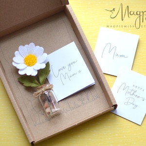 Carte et cadeau fleur de marguerite pour la fête des mères, cadeau pour maman, fleurs printanières pour la fête des mères, cadeau fleur pour maman, décoration florale, cadeau l'amour, cadeau marguerite