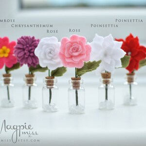 Pu&ograve; includere: Una collezione di fiori di feltro in piccole bottiglie di vetro. I fiori, tra cui primule, crisantemi, rose e stelle di Natale, sono nei toni del rosa, viola, bianco e rosso. Ogni bottiglia ha un tappo di sughero e contiene piccole pietre trasparenti.