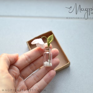 K&ouml;nnte beinhalten: Eine kleine Glasflasche mit einem Korkverschluss, gef&uuml;llt mit wei&szlig;en Steinen und einer einzelnen wei&szlig;en Filzblume mit gr&uuml;nen Filzbl&auml;ttern.