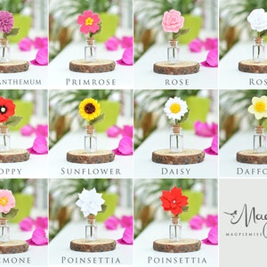 Pu&ograve; includere: Una collezione di fiori in feltro fatti a mano, ciascuno esposto in una piccola bottiglia di vetro con un tappo di sughero, posto su una fetta di legno. I fiori includono crisantemo, primula, rosa, papavero, girasole, margherita, narciso, anemone e stella di Natale. Il testo "CHRYSANTHEMUM", "PRIMROSE", "ROSE", "POPPY", "SUNFLOWER", "DAISY", "DAFFODIL", "ANEMONE" e "POINSETTIA" &egrave; visualizzato.