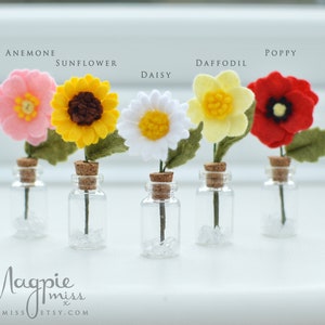 Pu&ograve; includere: Cinque fiori di feltro in miniatura in bottiglie di vetro con tappi di sughero. I fiori includono anemone, girasole, margherita, narciso e papavero. I fiori sono nelle tonalit&agrave; di rosa, giallo, bianco e rosso. Il testo "ANEMONE", "SUNFLOWER", "DAISY", "DAFFODIL" e "POPPY" &egrave; sopra ogni fiore.