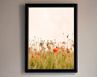 Printable Wall Art. Poppies, flowers, meadow. Creamy