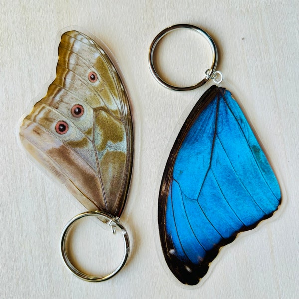 REAL Blue morpho butterfly wing keychain