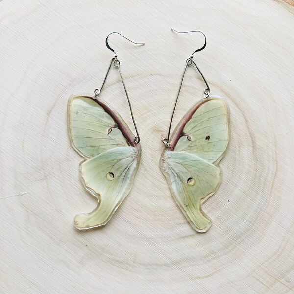 REAL North American Luna moth upper and lower wing +  sterling silver