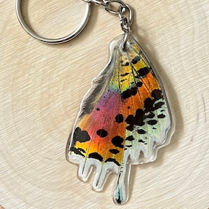 Madagascan sunset moth upper wing keychain