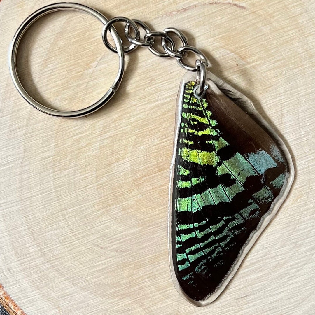 Moth Key Racks Madagascan Sunset Moth Wing Keychain - Etsy