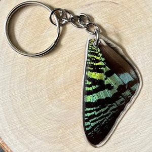 Madagascan sunset moth wing keychain