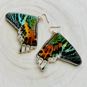Madagascan sunset moth wing earring - 14 k gold, sterling silver or stainless steel