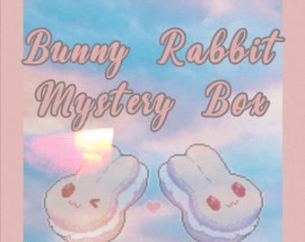 Bunny Rabbit Mystery Box