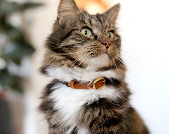 catcollar with quote *CATTITUDE*