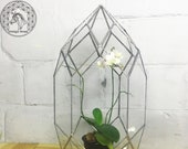 Orchidarium Glass orchidarium Planter Glass Pot Stained Glass Geometric Geometric Terrarium Geometric planter