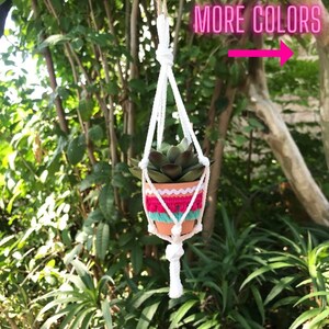 May include: A small succulent plant in a terracotta pot with colorful trim is hanging from a white macrame plant hanger. The text "MORE COLORS" is visible in the image.