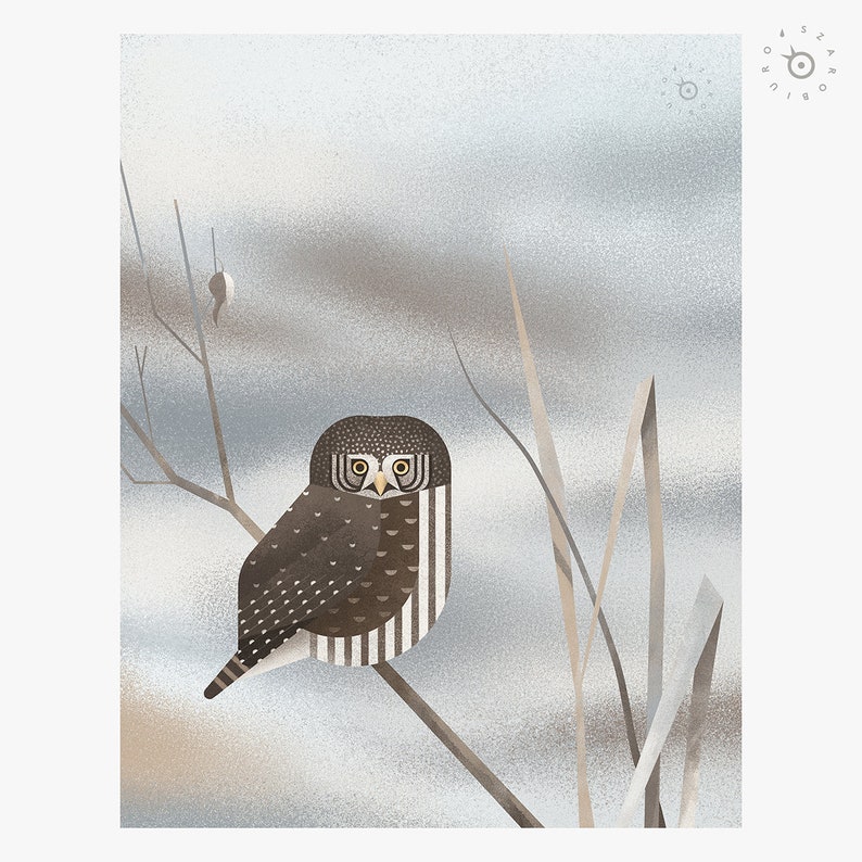 Pygmy owl print, Original bird art, Owl print, Geometric bird, Landscape decor, Nature lover gift image 3