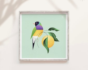 Gouldian finch, Bird illustration, Songbird art, Garden bird print, Natural history, Australian birds, Small gift, Geometric minimal