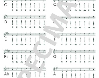 Tin Whistle fingering chart, All 12 keys, PDF file Digitial Download For lessons or Rehearsal, celtic instrument