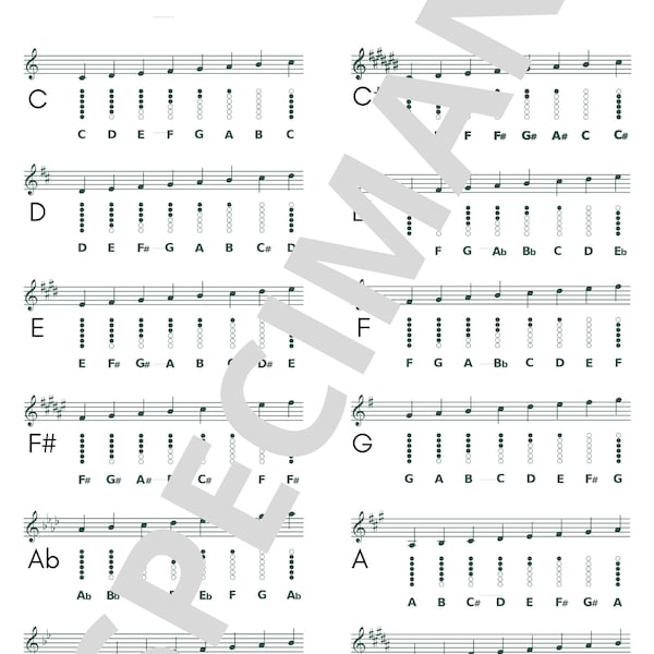 Tin Whistle fingering chart, All 12 keys, PDF file Digitial Download For lessons or Rehearsal, celtic instrument