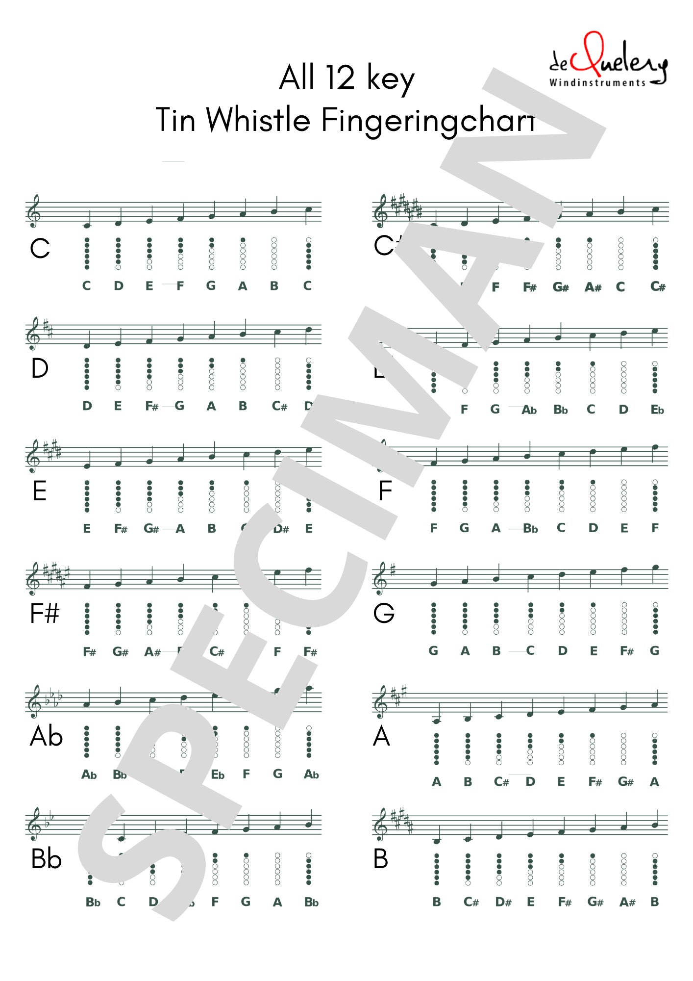 Tin Whistle Fingering Chart, All 12 Keys, PDF File Digitial Download for  Lessons or Rehearsal, Celtic Instrument 