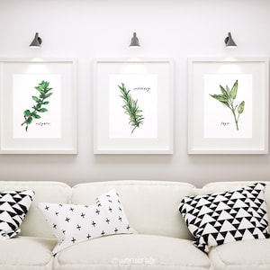 Herb Print Set of 3 Digital Art Instant Download Gift for Her Home Kitchen Decor Watercolor Printable Chef Cook Herbs Rosemary Sage Oregano