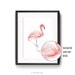 Flamingo Print Nursery Decor Digital Download Wall Art Print Baby ...