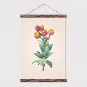 Hanger Frames- Vintage Botanical Protea Canvas with Wood Poster Hanger- Gift for her- Christmas Gift- Vintage Wall Decor