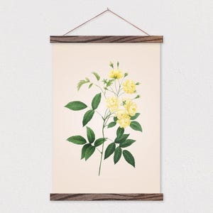 Framerails-gele roos-vintage botanische tekening canvas print met houten frame-botanische print-platte canvas-boerderij decor