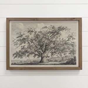May include: A black and white framed print of a large oak tree with a detailed drawing of the branches and leaves. The tree is in a field with a small town in the distance.