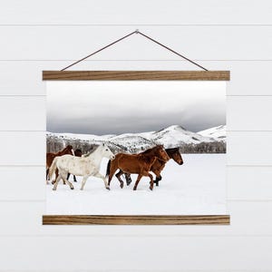 Muurkunst paard in de sneeuw - muurkunst paard foto - muurdecoratie paard boerderij