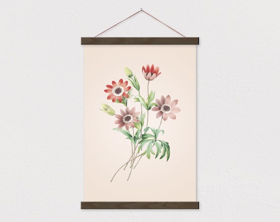Poster Holder Vintage Botanical Red Anemone Canvas With Wood Magnetic  Poster Hanger Gift for Her Vintage Poster Vintage Poster Frame 