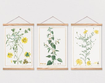 Set of 3 Yellow Flower Botanical Prints Set on Canvas with Magnetic Hanger Frame-panel