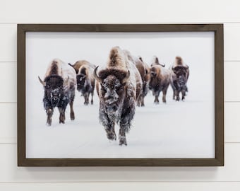 Wood Framed Wildlife Photography - Bison Group - Cabin Decor