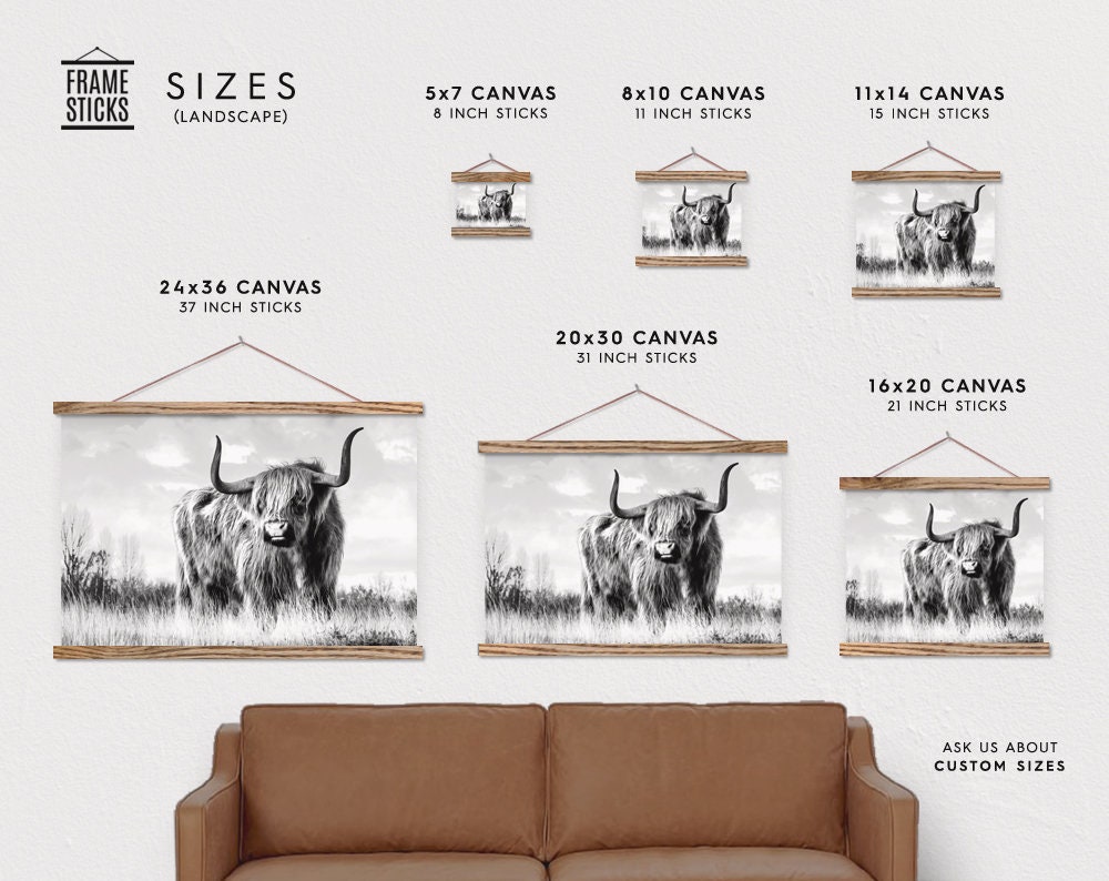 wild cow canvas print