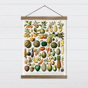 Vintage Fruit Poster Botanical Print French Fruit Print Wall Art Home Decor  Fine Art Gift Ideas vi236 