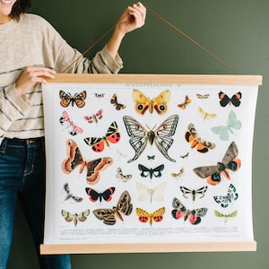 HANGER FRAMES ™ - Magnetischer Posterleiste aus Holz zum Einrahmen von Kunst und Bildern