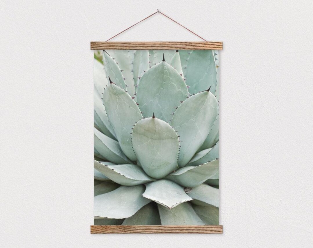 25 Inch Poster Hanger- Native Succulent Canvas Print With Wood Poster ...