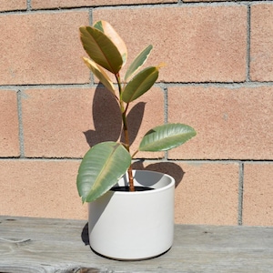 Vintage Gainey Ceramics Glossy White C-6 Cylinder Planter - LaVerne California Mid-Century Modern
