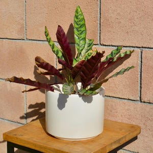 Vintage Gainey Ceramics Glossy White C-6 Cylinder Planter - LaVerne California Mid-Century Modern