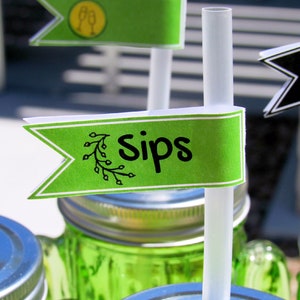 Sips & Succulents Plant and Sip Party Pack Digital Download 11 Files image 1