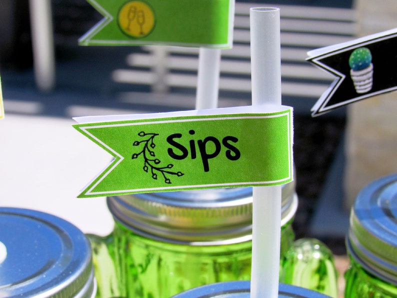 Sips & Succulents Plant and Sip Party Pack Digital Download 11 Files image 1