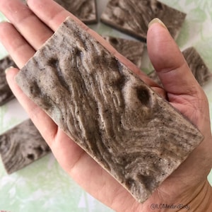 French-Milled Tree Bark Soap in Lavender Woods & Honey / Nature / Earth Day / Outdoors / Holiday Gift / Birthday