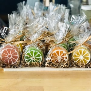 Citrus Luffa Seifen Gastgeschenke Set von 15 - 100 / Babyparty / Brautparty / Hochzeit / Hauptmotiv / Zitrone / Orange / Limette / Grapefruit / Geburtstag