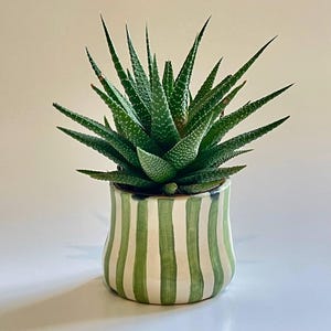 Hand-Painted Ceramic Planter, Small Floral Pottery Home Decor, "Petites fenêtres" Collection