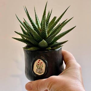 May include: A set of three ceramic mugs with a speckled, matte finish. Each mug features a different color: light blue, cream, and gray. The mugs have a simple, modern design and a comfortable handle.