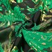 High- End Green Floral Jacquard Fabric, Polyeter Cotton Brocade Fabric ...