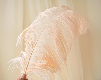 Plumes d'autruche Plume DIY Table de fête de mariage Noël Halloween Carnaval Décorations Pièce maîtresse Chapellerie Artisanat 18-20" / 45-50 cm de longueur