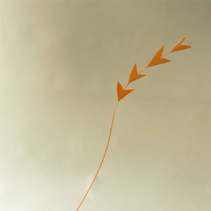 May include: A single, thin, orange branch with small, pointed leaves against a light beige background.