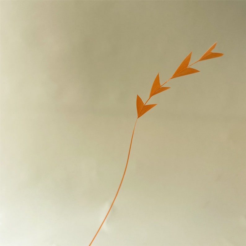 May include: A single, thin, orange branch with small, pointed leaves against a light beige background.